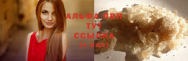 спайс Арсеньев