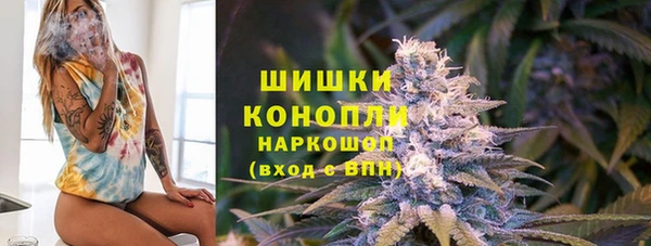 спайс Арсеньев