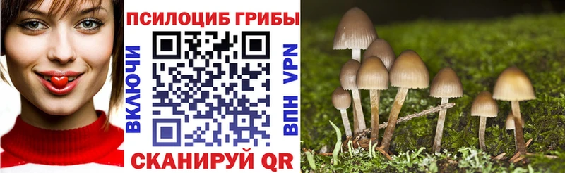 Псилоцибиновые грибы MAGIC MUSHROOMS  сколько стоит  Багратионовск 
