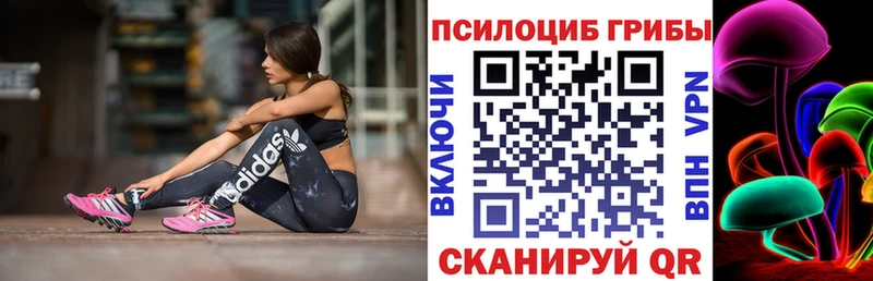 Псилоцибиновые грибы прущие грибы Багратионовск